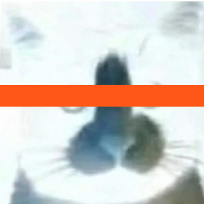 hanhao5599's profile picture. 