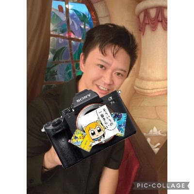 コス/仮装/ポトレ撮影のご相談はお気軽にDMください📸✨スタレ沼🫠(フレンド募集中)※募集投稿のお迎え中!片想い期間1週間程度で考えております🙇♂️