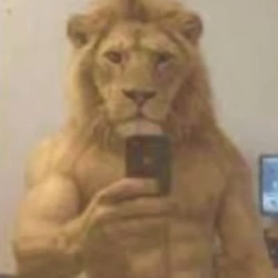Very known Puertorican nationalist
Shitposts with real pfp 😎
27