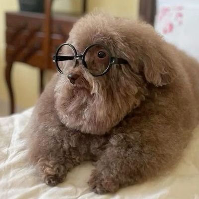 cake__berry's profile picture. 