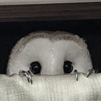 akiprdox's profile picture. 