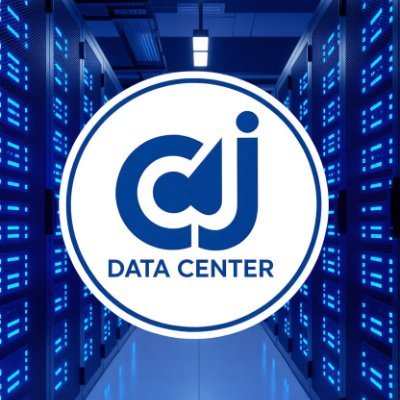 Strategic, results-driven executive with over 13 years of progressive leadership in data center and commercial real estate investment management.