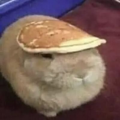 Average Watch Dogs Fan | 16 | Audhd, BPD, and a system | Lesbian and Agender | I like cyberpunk and roblox as well 💀