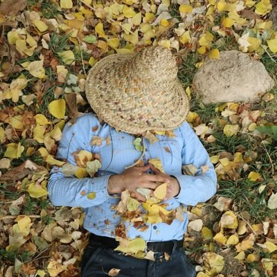 khodadad02's profile picture. همون برنامه نویس خسته