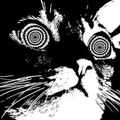 xcterin's profile picture. 