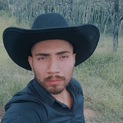 CarterKuw13's profile picture. Katycat from 2014-
Cinéfilo-
NewLiner