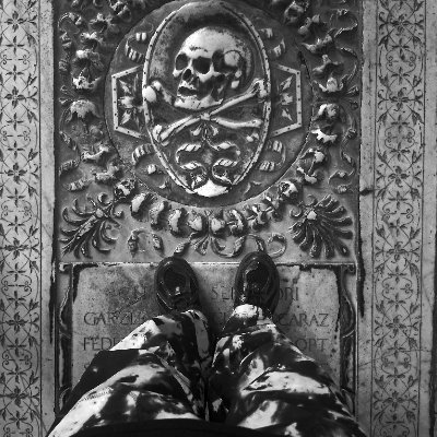 pilleur2tombes's profile picture. 🦇🇵🇸