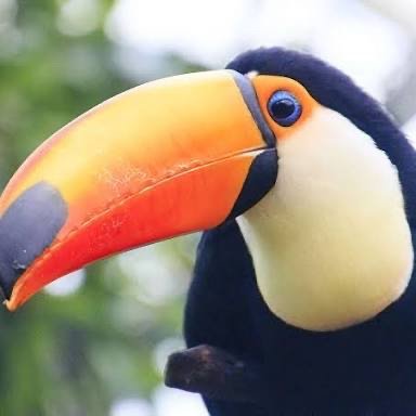 MissMillerHMPS's profile picture. Year 6   Toucans Class

History, Geography and RE Lead