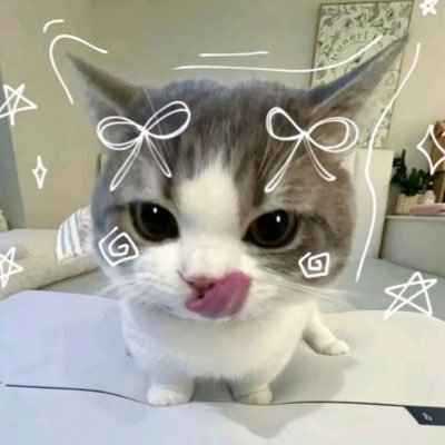 lavendune's profile picture. 18