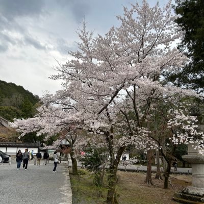 基本的人権の尊重、国民主権、平和主義。法の下の平等。氷河期世代。心の葛藤が体に出る人。カテゴライズされない病。休養&充電中。ほぼ高卒。趣味で英語勉強。話しかけられても反応できないことがありますが、ご用のある方はリプライしてください。