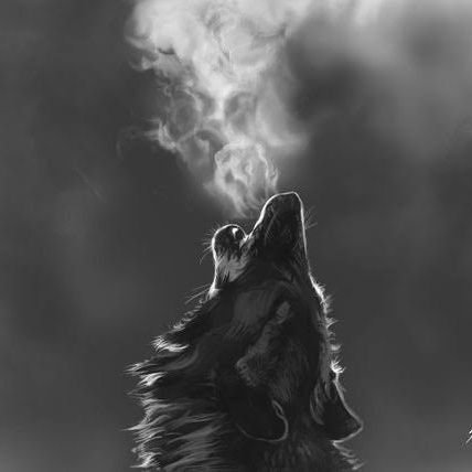 Hezy_M44's profile picture.