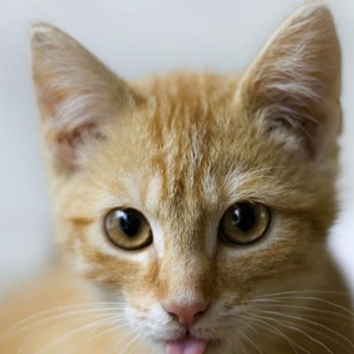 SV243872's profile picture. 