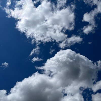dbuid91's profile picture. 