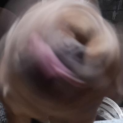 Xoediax's profile picture. not applicable