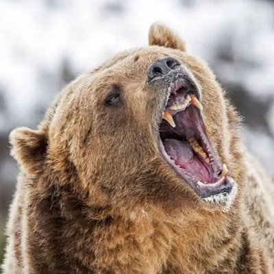 200Xshort's profile picture. I am the investment. invest in your self. Live as if you were to die tomorrow. Learn as if you were to live forever.