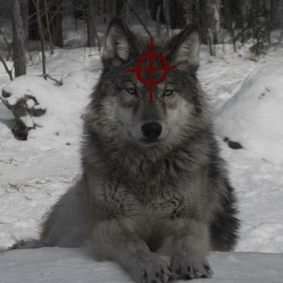 CruzContr0l_Xx's profile picture. Unwanted foster boy.