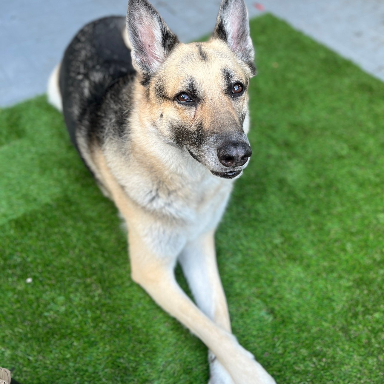 CBso19's profile picture. 