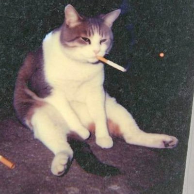 _Kaelix_'s profile picture. Gamer // 98’