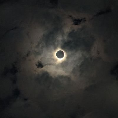 xavinnovations's profile picture. inteligenta sui generis. Digital systems engineer. Manchester United