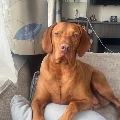 capaldi1988's profile picture. 