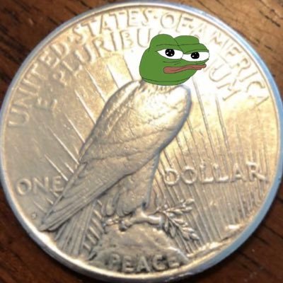 Baldbaldeagle's profile picture. pweeze 🥺 stop censoring mi