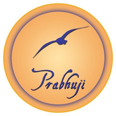 Prabhuji_en's profile picture. Prabhuji is a writer, painter, avadhūta mystic, and the creator of the “Retroprogressive Yoga”. In 2011, he chose to retire from society.