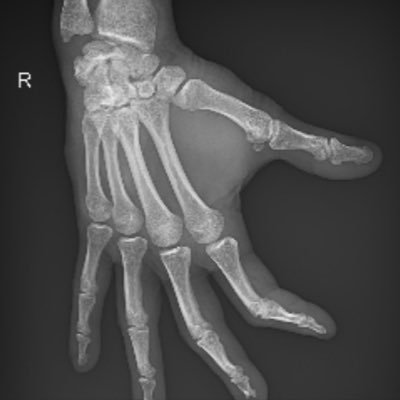 vile82443's profile picture. 