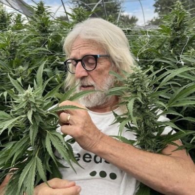 mrpharmamanuk49's profile picture. +447488558117
https://t.co/HdUn6kVdF0