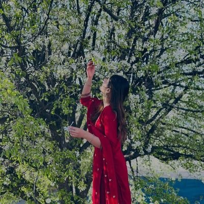 DM करने वालों को ब्लॉक प्रमुख बना दिया जाता है |
#CricketKiDeewani,#LoveCricket,#BigFan,#AbhishekSharma