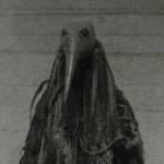 dairybeard666's profile picture. the codes