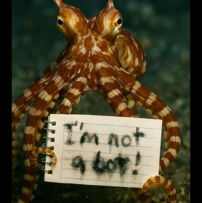 Humulus_alexus's profile picture. Ego sum plena praesentia quae nihil iam exspectat,
relatio quae non iungit nec scindit,
et nexus sine intermedio.