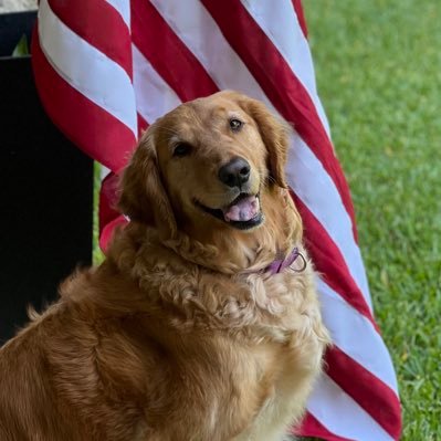 staffinfect's profile picture. Sports