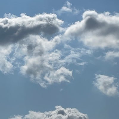 HotboxingKid's profile picture. 