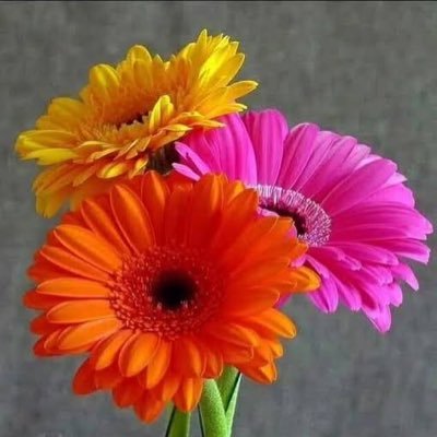 tati_solar's profile picture. Hay tres lugares mágicos donde el mundo deja de doler un rato... la ducha, el sueño y un abrazo…