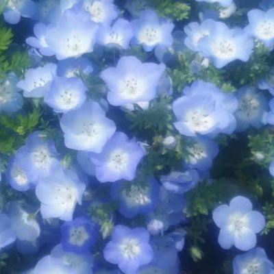 i8T0Q0UqxJ6433's profile picture. 04  infp