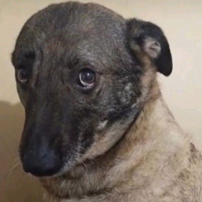 CLLYWOOD's profile picture. kepenkleri yarı çektik he haberiniz ola