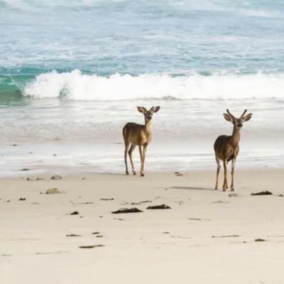 melaamo_'s profile picture. 