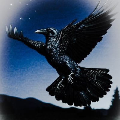 marymorgana_333's profile picture. Visited for dogecoin, stayed for free speech