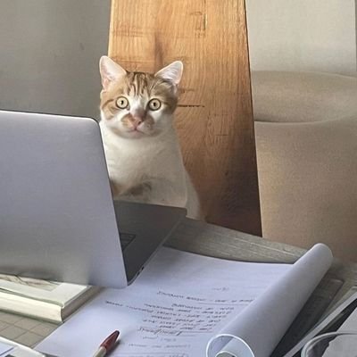 someone_tries's profile picture. cyber security || penetration testing