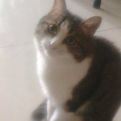 coder_0127's profile picture. 