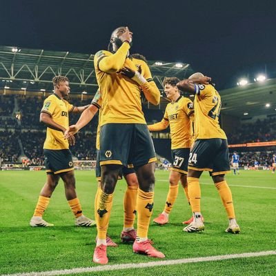 GeorgeWolves101's profile picture. 