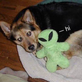 memme_ouch's profile picture. 이렇게 와.. 이렇게 와그냥 와 이렇게 못까거는..
이게 인간이다. 이게휴먼 메이드 이다