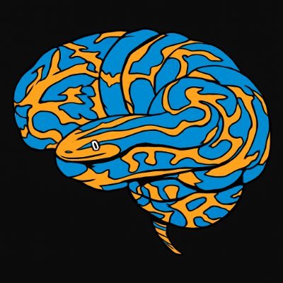 nilearn Profile