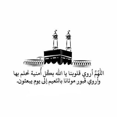 masry8060's profile picture. 