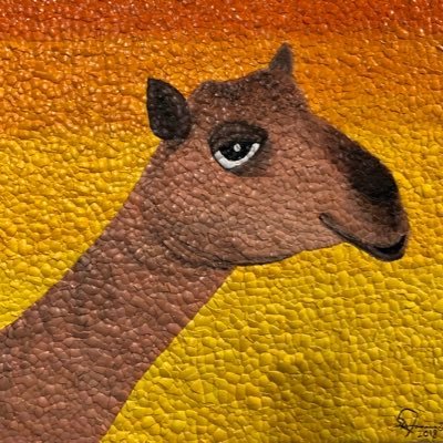 zkcamel's profile picture. Pump my humps