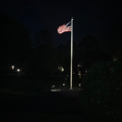 Buzz434350's profile picture. 