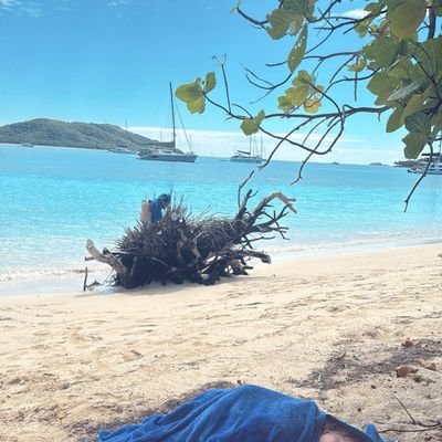 gogonbu's profile picture. אוהב לחיות
