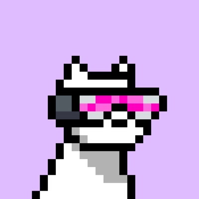 Truth maxi, creator, skater | @doginaldogsx member | Crypto Spaces Network Host 3AM EST 🎙️