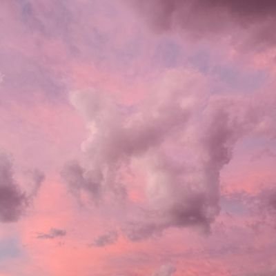 tinleygarden's profile picture. 틴리