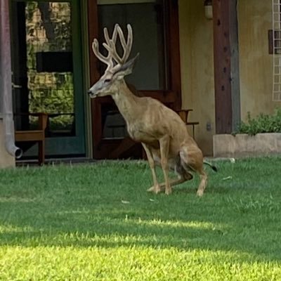 m19324395's profile picture. 